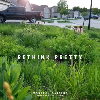 Converting A Small Front Yard To Prairie Beds 2014 2019